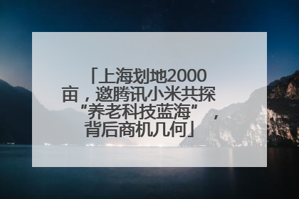 上海划地2000亩，邀腾讯小米共探“养老科技蓝海”，背后商机几何