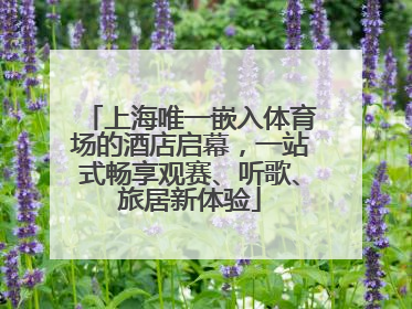 上海唯一嵌入体育场的酒店启幕，一站式畅享观赛、听歌、旅居新体验
