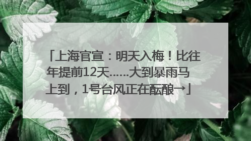 上海官宣：明天入梅！比往年提前12天……大到暴雨马上到，1号台风正在酝酿→