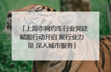 上海市网约车行业党建赋能行动开启 聚行业力量 深入城市服务