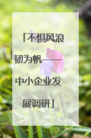 不惧风浪韧为帆——中小企业发展调研