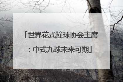世界花式撞球协会主席：中式九球未来可期
