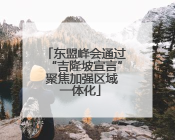 东盟峰会通过“吉隆坡宣言” 聚焦加强区域一体化