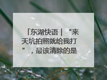 东湖快语｜“来天坑拍照就给我打”，最该清除的是“护短”思维