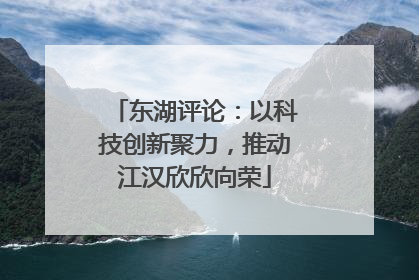 东湖评论：以科技创新聚力，推动江汉欣欣向荣