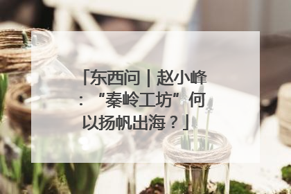 东西问｜赵小峰：“秦岭工坊”何以扬帆出海？