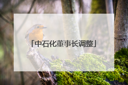 中石化董事长调整