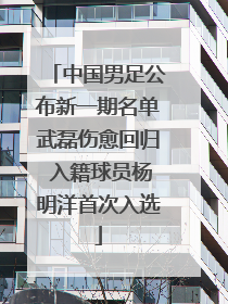 中国男足公布新一期名单武磊伤愈回归 入籍球员杨明洋首次入选