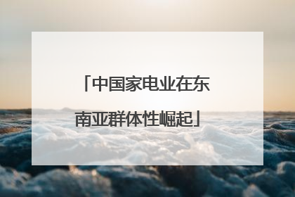 中国家电业在东南亚群体性崛起