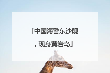 中国海警东沙舰，现身黄岩岛