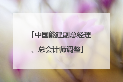 中国能建副总经理、总会计师调整