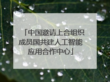 中国邀请上合组织成员国共建人工智能应用合作中心