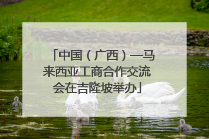 中国（广西）—马来西亚工商合作交流会在吉隆坡举办