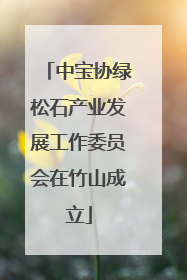 中宝协绿松石产业发展工作委员会在竹山成立
