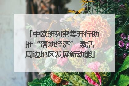 中欧班列密集开行助推“落地经济” 激活周边地区发展新动能