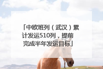 中欧班列（武汉）累计发运510列，提前完成半年发运目标