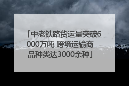 中老铁路货运量突破6000万吨 跨境运输商品种类达3000余种