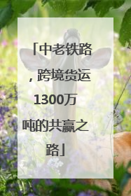 中老铁路，跨境货运1300万吨的共赢之路