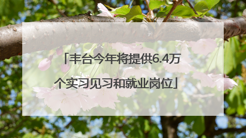丰台今年将提供6.4万个实习见习和就业岗位