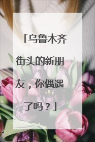 乌鲁木齐街头的新朋友，你偶遇了吗？