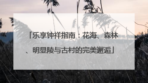 乐享钟祥指南：花海、森林、明显陵与古村的完美邂逅