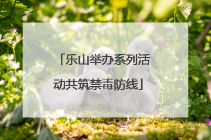 乐山举办系列活动共筑禁毒防线