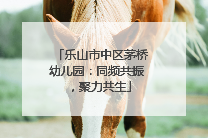 乐山市中区茅桥幼儿园：同频共振，聚力共生