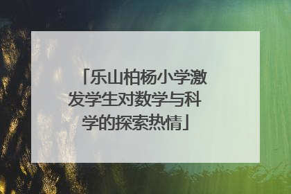 乐山柏杨小学激发学生对数学与科学的探索热情