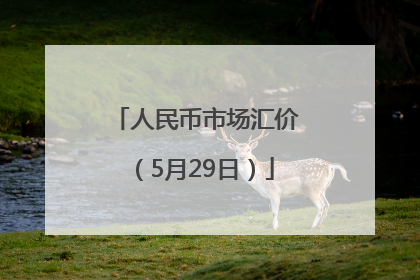 人民币市场汇价（5月29日）