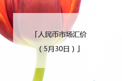 人民币市场汇价（5月30日）