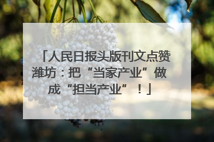 人民日报头版刊文点赞潍坊：把“当家产业”做成“担当产业”！