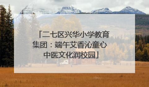 二七区兴华小学教育集团：端午艾香沁童心 中医文化润校园
