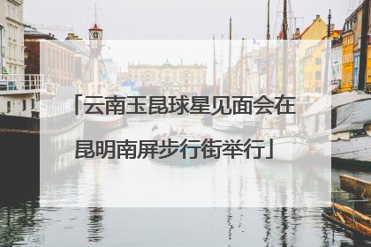 云南玉昆球星见面会在昆明南屏步行街举行