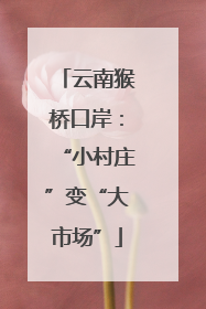 云南猴桥口岸：“小村庄”变“大市场”