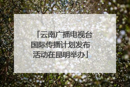 云南广播电视台国际传播计划发布活动在昆明举办
