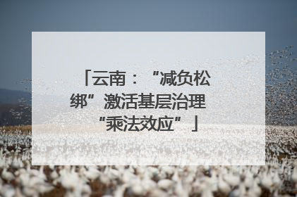 云南：“减负松绑”激活基层治理“乘法效应”