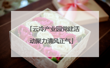 云冷产业园党建活动聚力清风正气