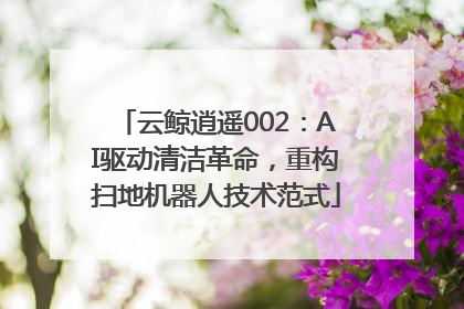 云鲸逍遥002：AI驱动清洁革命，重构扫地机器人技术范式
