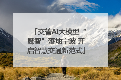 交管AI大模型“鹰智”落地宁波 开启智慧交通新范式