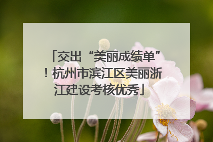 交出“美丽成绩单”！杭州市滨江区美丽浙江建设考核优秀