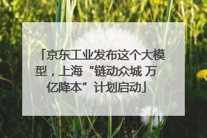 京东工业发布这个大模型，上海“链动众城 万亿降本”计划启动