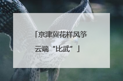 京津冀花样风筝云端“比武”