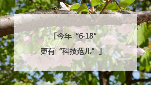 今年“6·18”更有“科技范儿”