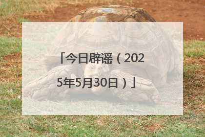 今日辟谣（2025年5月30日）