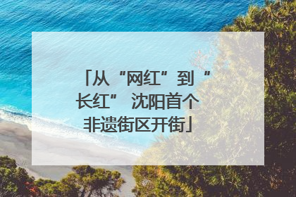 从“网红”到“长红” 沈阳首个非遗街区开街