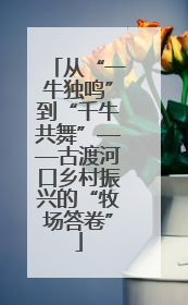 从“一牛独鸣”到“千牛共舞”——古渡河口乡村振兴的“牧场答卷”