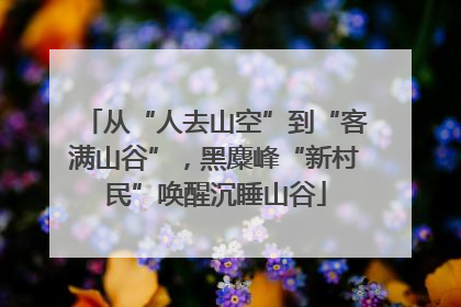 从“人去山空”到“客满山谷”，黑麋峰“新村民”唤醒沉睡山谷