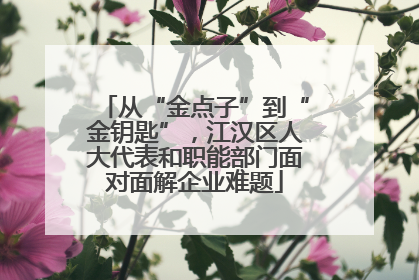 从“金点子”到“金钥匙”，江汉区人大代表和职能部门面对面解企业难题