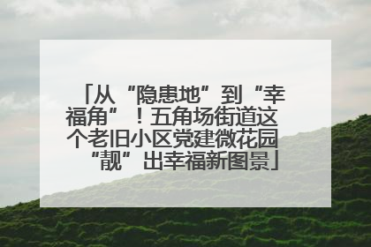 从“隐患地”到“幸福角”！五角场街道这个老旧小区党建微花园“靓”出幸福新图景