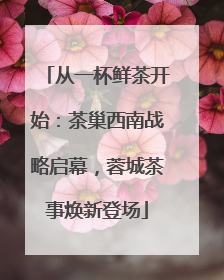 从一杯鲜茶开始：茶巢西南战略启幕，蓉城茶事焕新登场